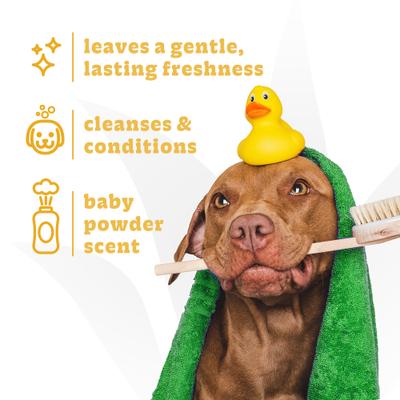 Show full view: Espree Gentle Fresh Tearless Aloe Vera Dog & Puppy Shampoo & Conditioner, 20-oz bottle slide 4 of 8