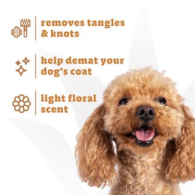 Show full view: Espree Wavy Curly Coat Dog Detangling Spray, 12-oz bottle slide 3 of 6