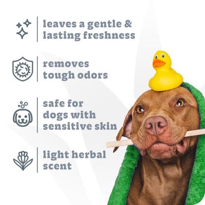 Show full view: Espree Intense Charcoal Odor Neutralizer Dog Shampoo & Conditioner, 20-oz bottle slide 4 of 9