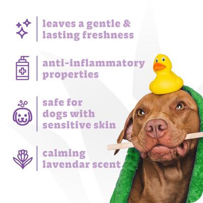 Show full view: Espree Calming Lavender & Chamomile Dog Conditioner, Fresh Scent, 1-gal bottle slide 4 of 7
