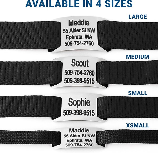 Show full view: GoTags Adjustable Nameplate Personalized Dog Collar, Light Gray, Medium: 14 to 20-in neck, 3/4-in wide slide 5 of 7