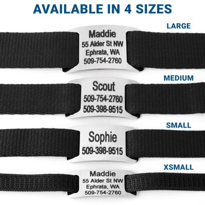 Show full view: GoTags Adjustable Nameplate Personalized Dog Collar, Light Gray, Medium: 14 to 20-in neck, 3/4-in wide slide 5 of 8