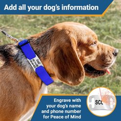 GoTags Adjustable Nameplate Personalized Dog Collar, Lavender, Medium: 14 to 20-in neck, 3/4-in wide slide 2 of 7