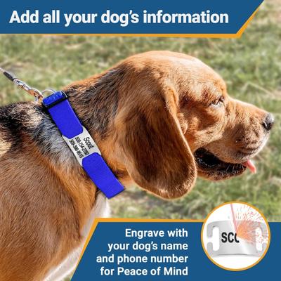 Show full view: GoTags Adjustable Nameplate Personalized Dog Collar, Light Gray, Medium: 14 to 20-in neck, 3/4-in wide slide 7 of 8