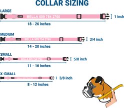 GoTags Adjustable Nameplate Personalized Dog Collar, Light Blue, Medium: 14 to 20-in neck, 3/4-in wide slide 2 of 7
