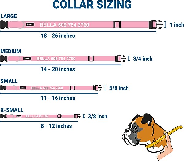 Show full view: GoTags Adjustable Nameplate Personalized Dog Collar, Light Gray, Medium: 14 to 20-in neck, 3/4-in wide slide 6 of 7