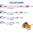 Show in main carousel: GoTags Adjustable Nameplate Personalized Dog Collar, Light Gray, Medium: 14 to 20-in neck, 3/4-in wide slide 6 of 7