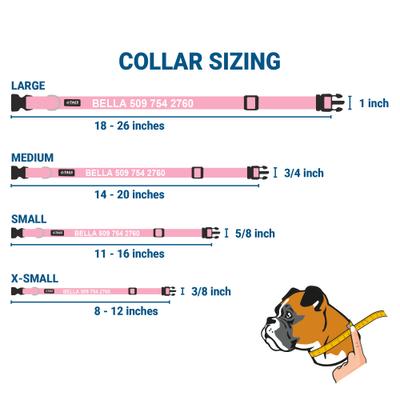 Show full view: GoTags Adjustable Nameplate Personalized Dog Collar, Light Gray, Medium: 14 to 20-in neck, 3/4-in wide slide 6 of 8