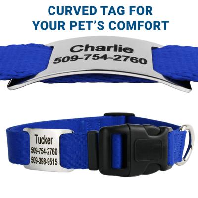 Show full view: GoTags Adjustable Nameplate Personalized Dog Collar, Light Gray, Medium: 14 to 20-in neck, 3/4-in wide slide 2 of 8