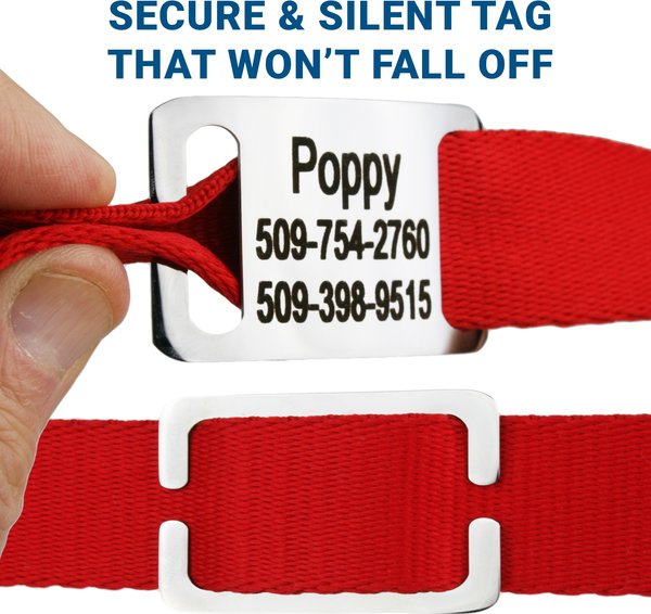 Show full view: GoTags Adjustable Nameplate Personalized Dog Collar, Light Gray, Medium: 14 to 20-in neck, 3/4-in wide slide 3 of 7