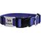 Show in main carousel: GoTags Adjustable Nameplate Personalized Dog Collar, Lavender, Medium: 14 to 20-in neck, 3/4-in wide slide 1 of 9