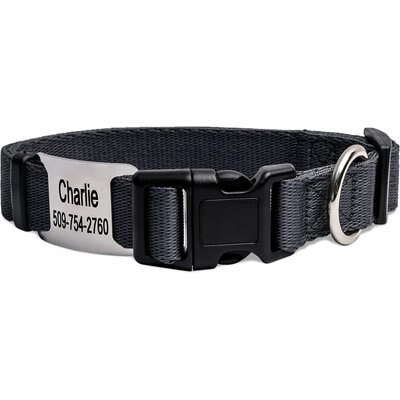 GoTags GoTags Adjustable Nameplate Personalized Dog Collar, Charcoal, Large: 18 to 26-in neck, 1-in wide