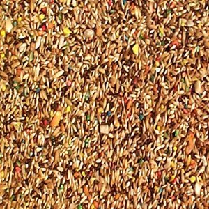 ABBA 1700 Canary Bird Food, 5-lb bag