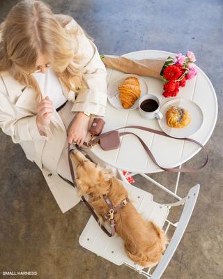 Show full view: Sunny Tails Snap Dog Treat Pouch, Espresso Brown slide 4 of 7