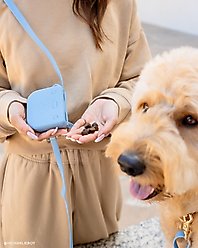 Sunny Tails Silicone Snap Dog Treat Pouch, Malibu Blue, Standard: 1/2-cup slide 2 of 6