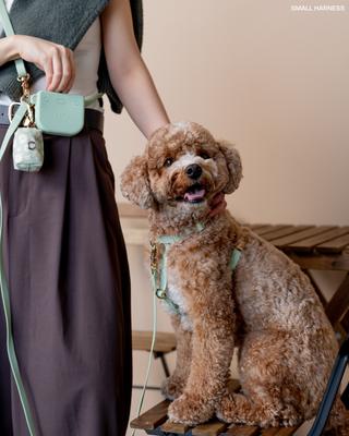 Show full view: Sunny Tails Snap Dog Treat Pouch, Pistachio Green slide 3 of 8