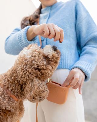 Show full view: Sunny Tails Snap Dog Treat Pouch, Chai Brown slide 2 of 8