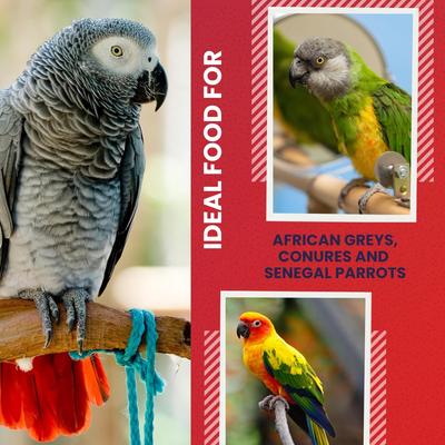 Show full view: ABBA 1400 Premium Bird Food, 5-lb bag slide 4 of 6