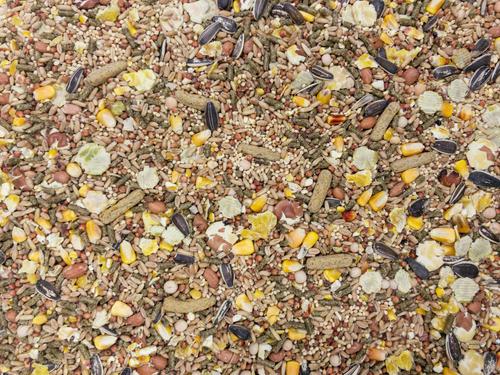 Show full view: Higgins Vita Garden Timothy Hay & Alfalfa Hay Rat & Mouse Food, 2.5-lb bag slide 2 of 2