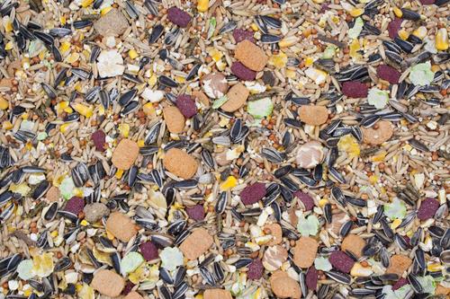 Show full view: Higgins Vita Garden Timothy Hay & Alfalfa Hay Hamster & Gerbil Food, 2.5-lb bag slide 2 of 2