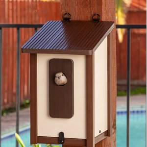 New Age Pet ECOFLEX Feathered Friends Beak Bungalow Bird House, Maple, Large