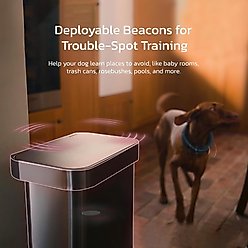 SATELLAI Wireless Fence System & GPS Tracker Dog Collar, Shocking Pink slide 2 of 9
