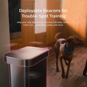 SATELLAI Wireless Fence System & GPS Tracker Dog Collar, Smoke Gray