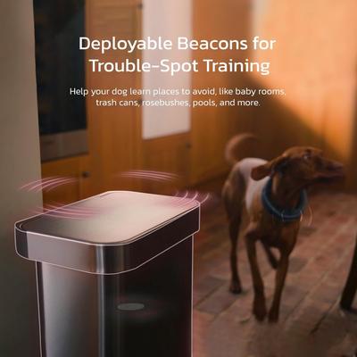 Show full view: SATELLAI Wireless Fence System & GPS Tracker Dog Collar, Shocking Pink slide 9 of 10