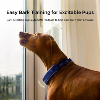 Show full view: SATELLAI Wireless Fence System & GPS Tracker Dog Collar, Shocking Pink slide 7 of 10