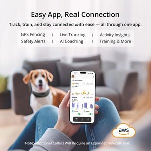 SATELLAI Wireless Fence System & GPS Tracker Dog Collar, Smoke Gray