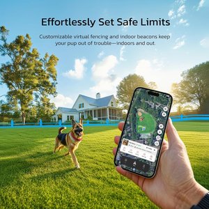 SATELLAI Wireless Fence System & GPS Tracker Dog Collar, Smoke Gray