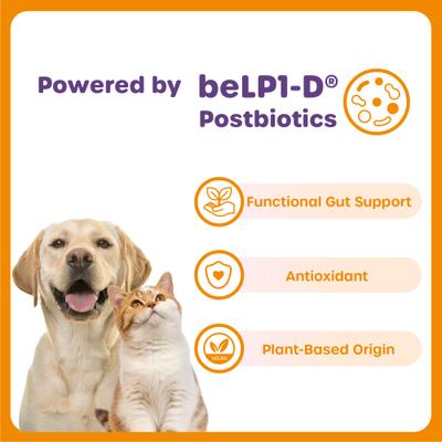 Show full view: Choolip Jumbo Squeeze Vita Stick Grab n Go Seafood & Fish Grain-Free Lickable Cat Treats, 28.2-oz box, 20 count slide 5 of 11