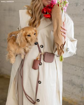 Show full view: Sunny Tails Snap Dog Treat Pouch, Espresso Brown slide 2 of 7