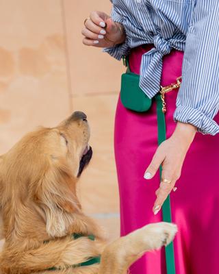 Show full view: Sunny Tails Snap Dog Treat Pouch, Meadow Green slide 5 of 8