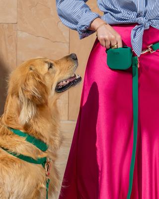 Show full view: Sunny Tails Snap Dog Treat Pouch, Meadow Green slide 3 of 8