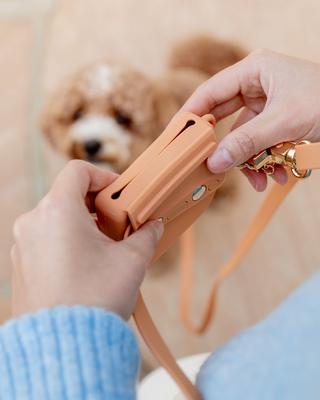 Show full view: Sunny Tails Snap Dog Treat Pouch, Chai Brown slide 3 of 8