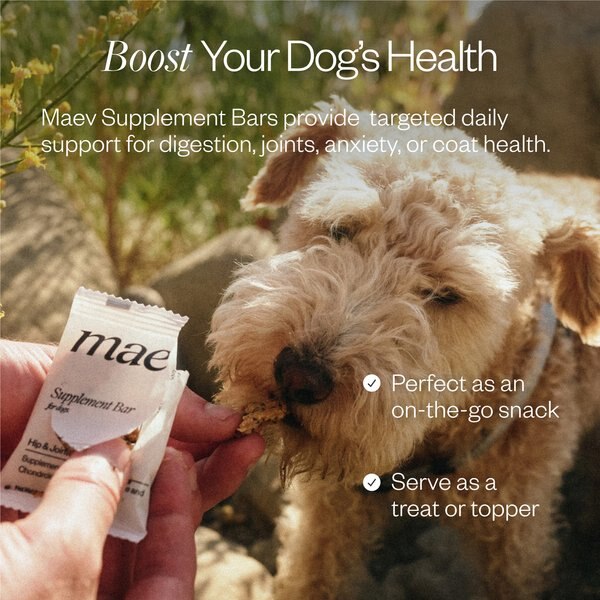 MAEV Skin & Coat Human-Grade Supplement Bars for Dogs, 30 count