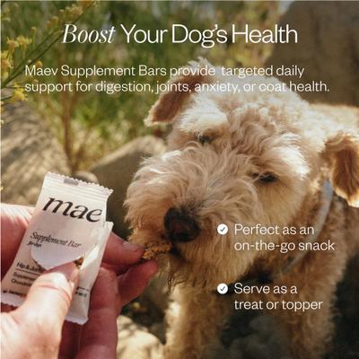 Show full view: MAEV Skin & Coat Human-Grade Supplement Bars for Dogs, 60 count bundle slide 6 of 9