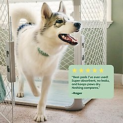 Earth Rated Max Absorbency Dog Pee Pads, Large: 22 x 23-in, Unscented, 40 count slide 2 of 9