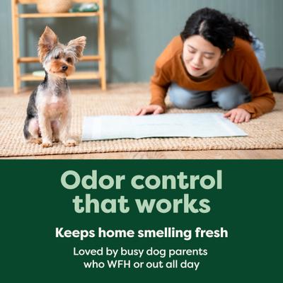 Show full view: Earth Rated Max Absorbency Dog Pee Pads, X-Large: 28 x 34-in, Unscented, 40 count slide 7 of 11