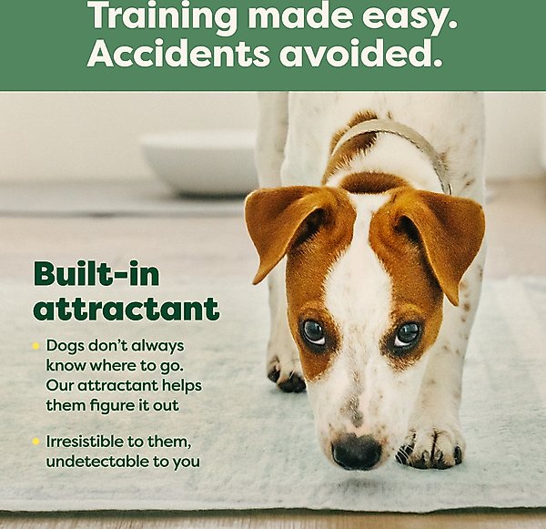 Show full view: Earth Rated Max Absorbency Dog Pee Pads, 24 count, XXX-Large: 36 x 36-in, Unscented slide 6 of 11