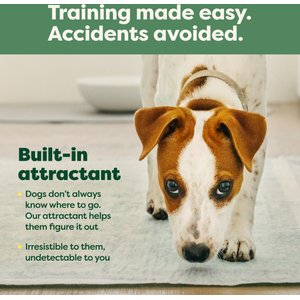 Earth Rated Max Absorbency Dog Pee Pads, X-Large: 28 x 34-in, Unscented, 40 count