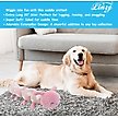 Show in main carousel: Linzy Toys Caterpillar Squeaky Plush Dog Toy, Pink, 20-in slide 5 of 6