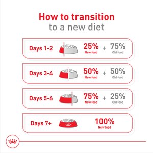 Royal Canin Size Health Nutrition Small Adult 8+ Dry Dog Food, 13-lb bag