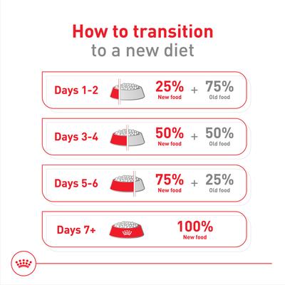 Show full view: Royal Canin Size Health Nutrition Medium Adult 7+ Dry Dog Food, 30-lb bag slide 6 of 12