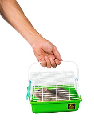 Show full view: Prevue Pet Products Travel Bird Cage, Green slide 2 of 4