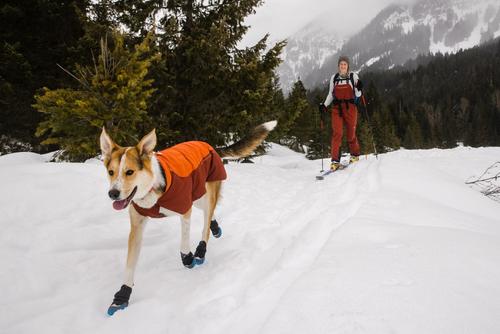 Show full view: Ruffwear Vert Winter Solid Waterproof Insulated Dog Jacket, Canyonlands Orange, X-Large slide 5 of 5