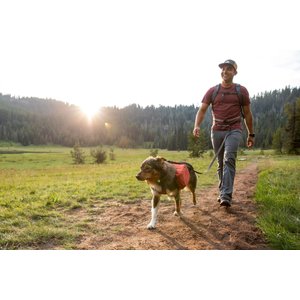 Ruffwear Front Range Dog Day Pack, Red Clay, Medium