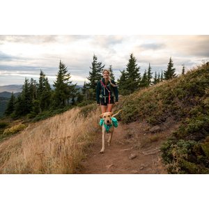 Ruffwear Front Range Dog Day Pack, Aurora Teal, Medium