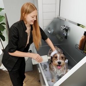Coziwow Dog Bathing & Washing Station, Silver, 48-in